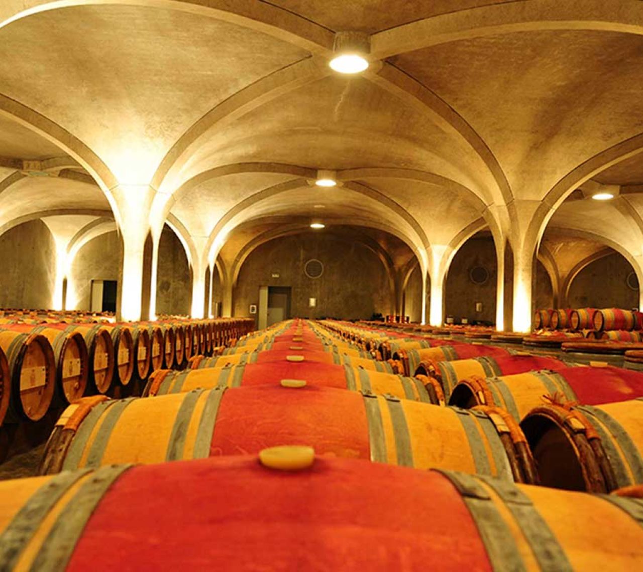 винный тур в Бордо, винный тур в Медок, русский гид в Бордо