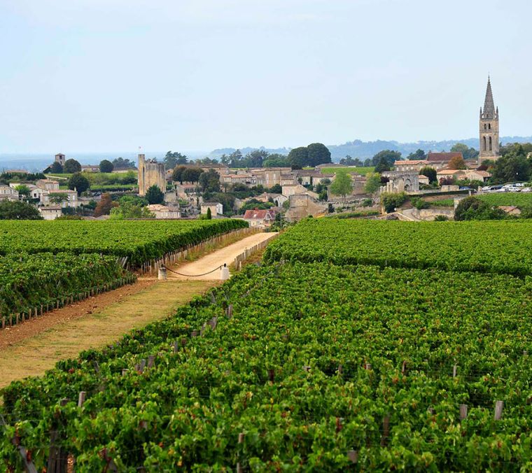 винный тур в Сент-Эмильон, винные туры Бордо