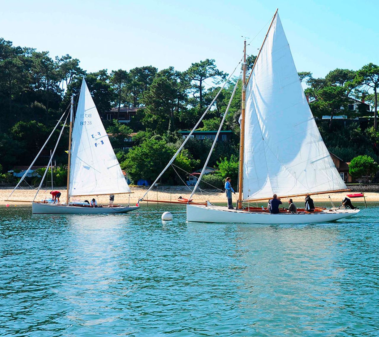 устричный тур в Аркашон, дегустация устриц в Аркашоне, русский гид в Бордо
